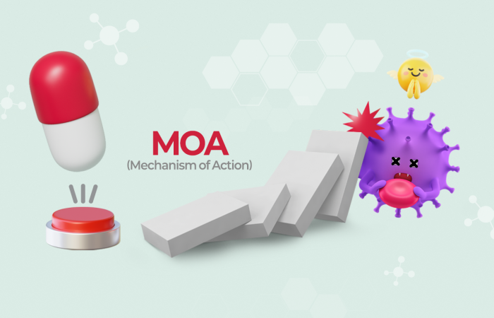'기전(MOA)': 약효 원리이자 차별화 핵심