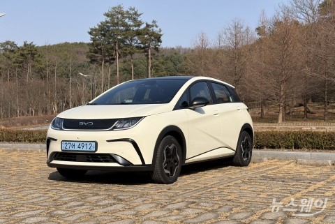 못생김마저 사랑스럽다···이상하게 끌리는 'BYD 돌핀'