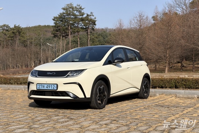 못생김마저 사랑스럽다···이상하게 끌리는 'BYD 돌핀'