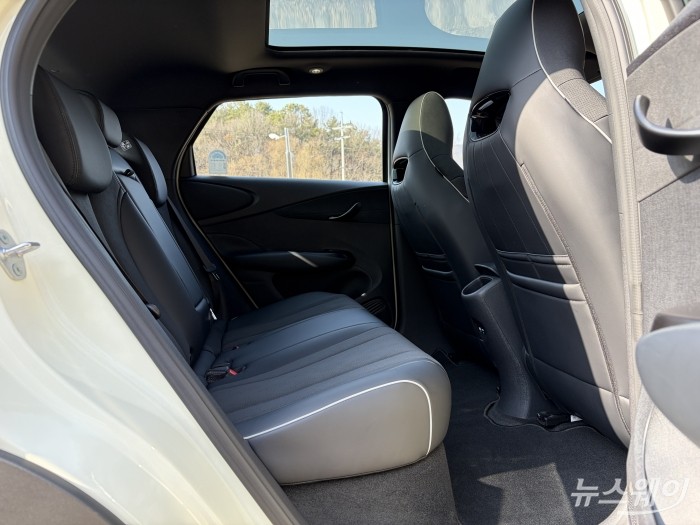 BYD 돌핀 2열 사진=권지용 기자