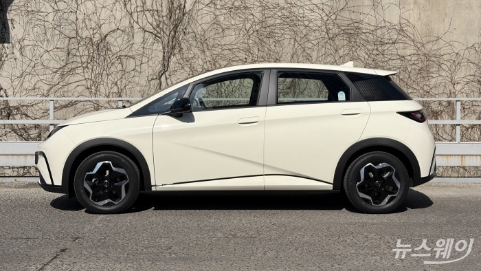 BYD 돌핀 사진=권지용 기자