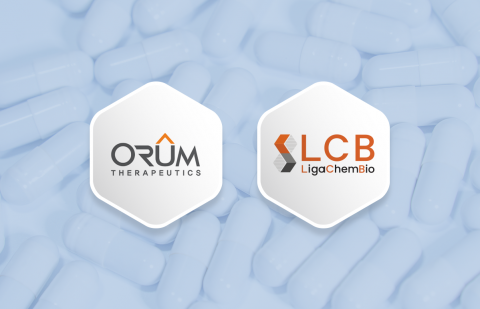 오름은 DAC·리가켐은 링커···차세대 ADC 경쟁서 K-바이오 조명