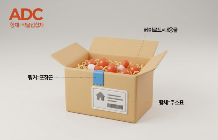 ADC: 암세포로 가는 '항암제 택배'