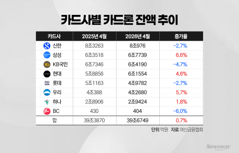 카드사 절반 카드론 증가···가계대출 억제·중금리 확대 '딜레마'