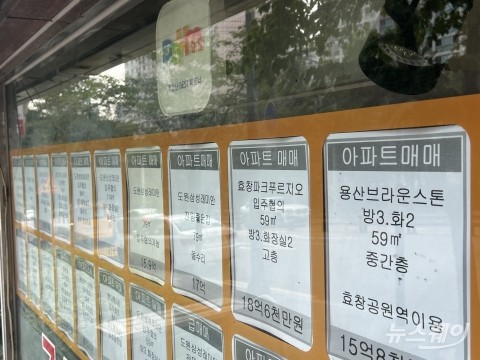 대출 절벽에 멈춘 마용성·노도강···강남은 세금 눈치