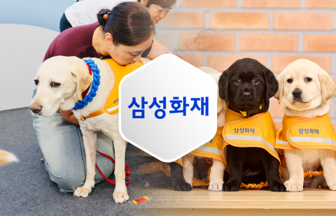 '33주년' 안내견학교부터 펫보험까지···삼성화재의 '따뜻한 동행'