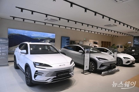 국산차 20% 줄 때 수입차 8% 증가···테슬라·BYD가 이끈 8월 車시장