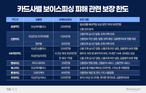 잇단 해킹에 피싱 피해 우려···카드사 보이스피싱 보상한도 200만원~2500만원