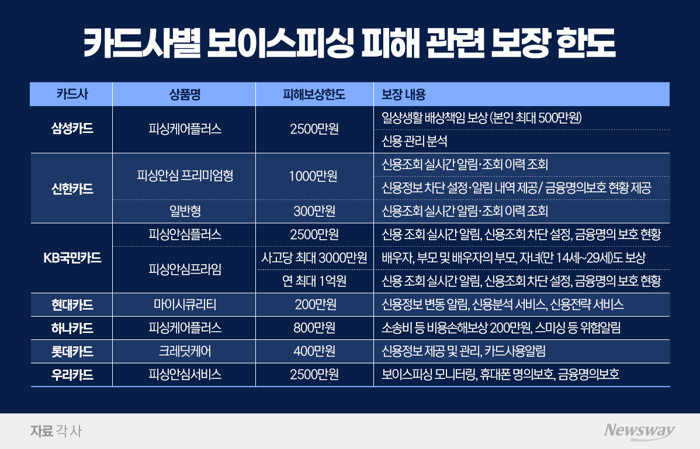 잇단 해킹에 피싱 피해 우려···카드사 보이스피싱 보상한도 200만원~2500만원