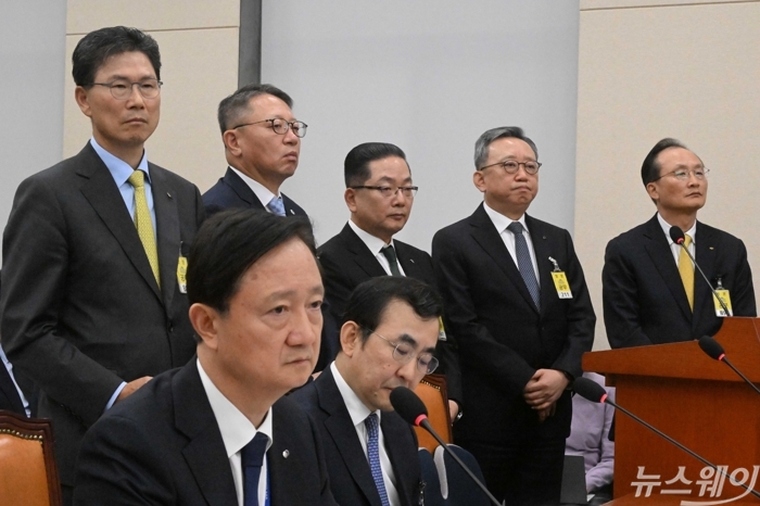 "고객정보도 못 지키면서 연임?"···5대 은행장 국감서 진땀(종합)