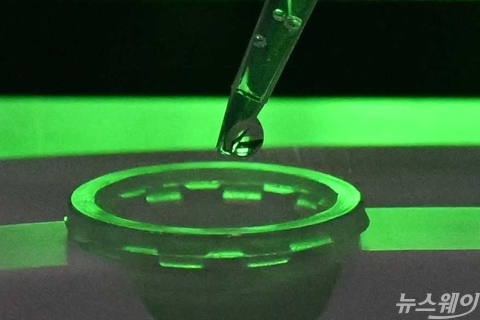 ChemoMetec XcytoMatic 시연하는 한국BMS제약 