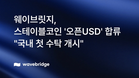 인피닛블록, 템포와 디지털 결제 실증 추진···스테이블코인 활용 모색